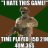 CoDStatsman